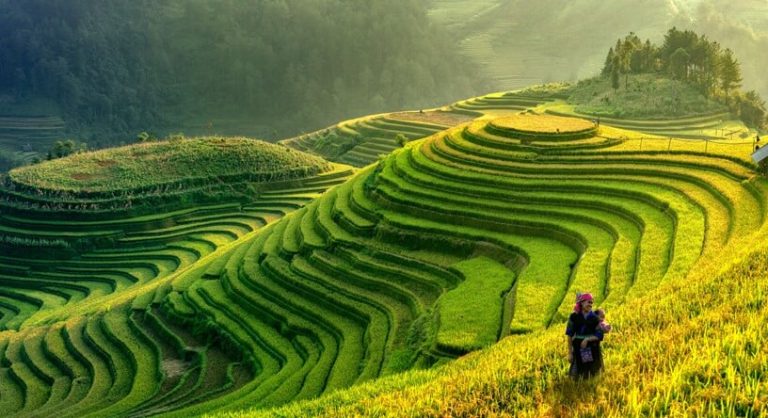 נופים שונים ומדהימים. אליהם מגיעים באמצעות המומחים של פלייאיסט. יפן