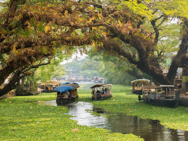 alleppey